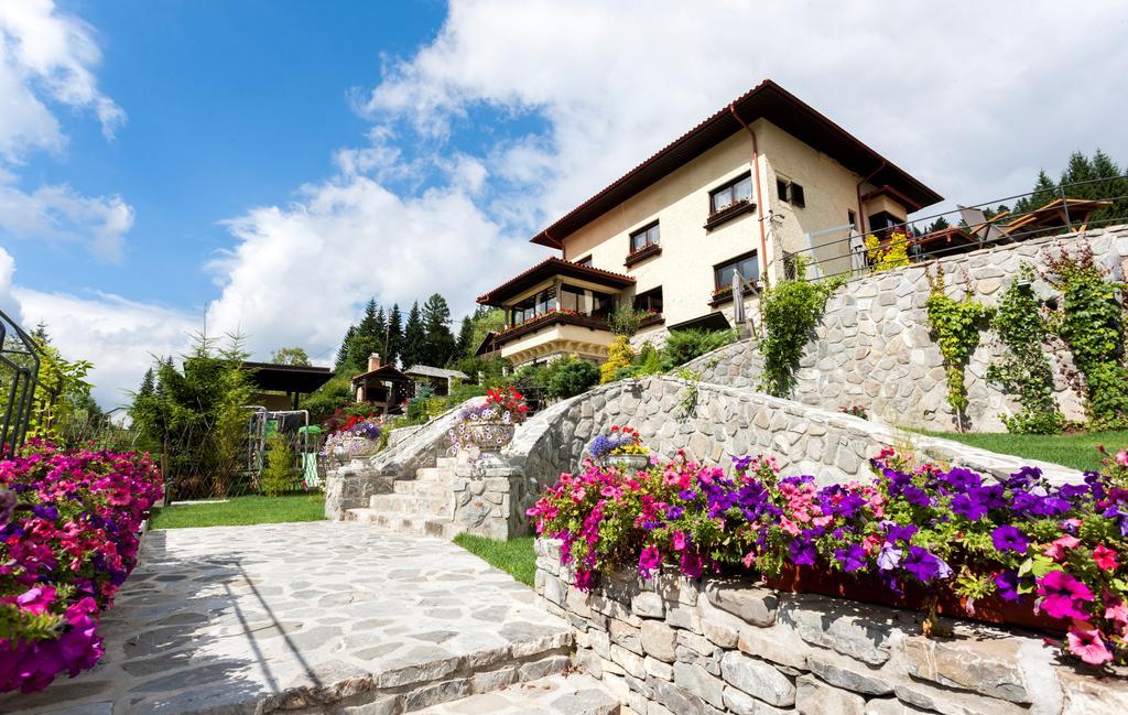Vila Leonida - Resort Leonida Busteni Exterior photo